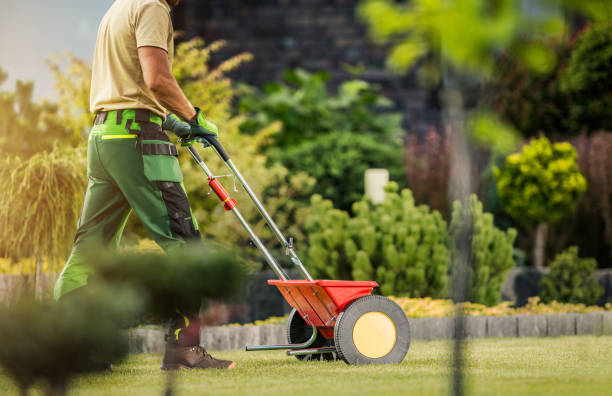 lawn fertilization Chattanooga TN - champion green